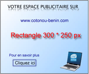 Publicit: Rectangle 300x250